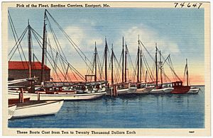Pick of the fleet, Sardine Carriers, Eastport, Me., these boats cost from ten to twenty thousand dollars each (74647)