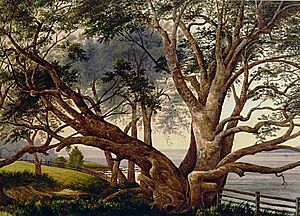 Pohutukawa, near the landing place below Lake Pupuke, Takapuna (1876)