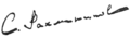 Rachmaninoff signature 1899 (transparent)