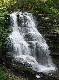 Ricketts Glen State Park Erie Falls 1