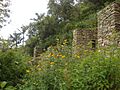 Ruins and flowers 1