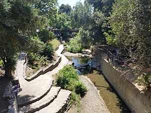 San Luis Obispo Creek in downtown SLO