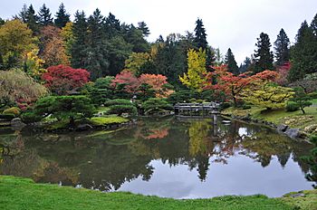 Seattle Japanese garden 2011 05