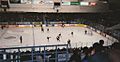 Senators civic centre
