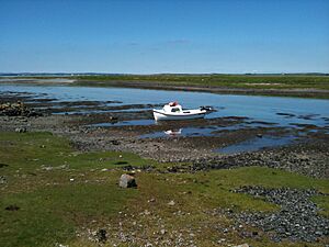 Series of Nausts on the North Mallmhuir, Island Eddy, Galway Bay
