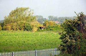 Shed in the hedgerow by Wolvercote Common - geograph.org.uk - 1321909.jpg