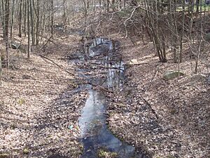 Source of Millers River