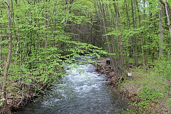 South Branch Roaring Creek downstream of Weiser State Forest.JPG