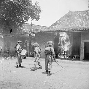 The British Occupation of Java SE6050