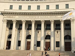 The Philippine National Museum of Natural History