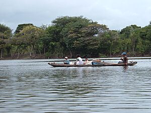 The Rupununi River