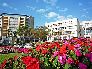 The sight of NCYU Lantan Campus11813