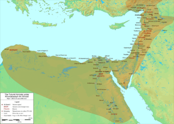 Tulunid Emirate in 893.