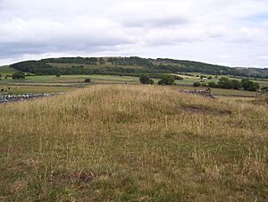 Tumulus near Monsal Head (geograph 1960926)