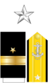 US Navy O7 insignia