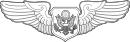 United States Air Force Officer Aircrew Badge.svg
