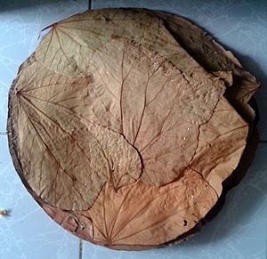 Vistaraku (An Indian eating plate) made with broad dried leaves 02