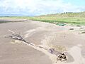 Whiteford Sands - geograph.org.uk - 1418497