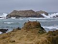 17 Mile Drive Bird Rock