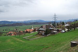 2010-03-28 Kirchenthurnen (Foto Dietrich Michael Weidmann) 186
