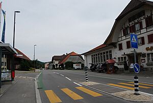 2012-05-26-Seeland (Foto Dietrich Michael Weidmann) 151