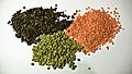 3 types of lentil