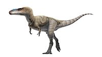 Alioramus Life Restoration.jpg