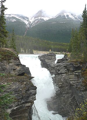 Athabasca Falls-27527