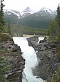 Athabasca Falls-27527