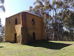 Bears Castle