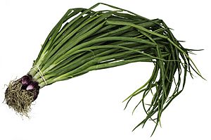 CSA-Red-Spring-Onions