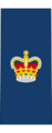 Canadian RCAF OR-7