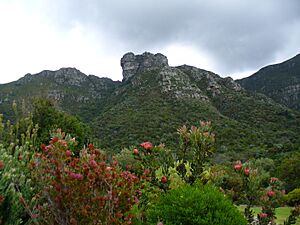 Castle Rock from Kirstenbosch