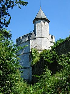 Chateau de Tancarville11