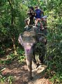 Chitwan-Elefantenritt-14-Elefant bemalt-2013-gje