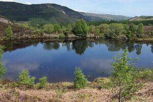 Cors Bodgynydd Reservoir - geograph.org.uk - 221635