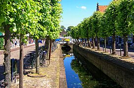 Elburg - Beekstraat - View NE