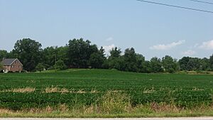 Ellerbusch Site near Newburgh