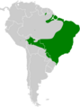 Eupetomena macroura map