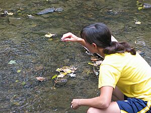 Field Trip- water sampling