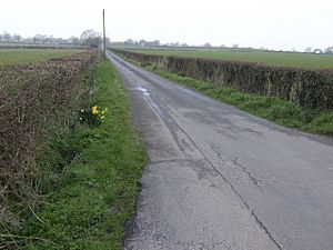 Firings Lane - geograph.org.uk - 382394