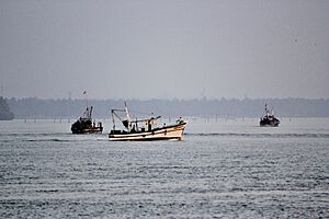 Fishing boats from Mattool Azheekkal