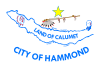 Flag of Hammond, Indiana