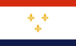 Flag of New Orleans