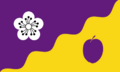 Flore village flag