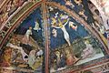 Frescoes Battistero Siena