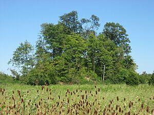Great Mound of Butler County