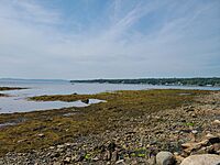Harbor located in Searsport, Maine
