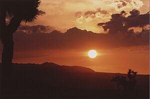High Desert Summer Sunset, California, USA