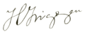 Hipólito Yrigoyen - Firma